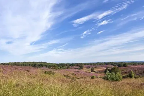 Hotel Eeserhof foto 17