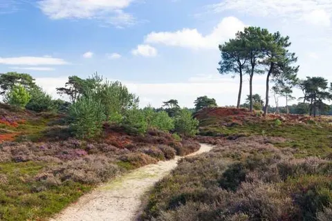 Fietsvakantie 7 Friese steden foto 11