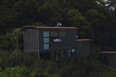 Rainforest Eco Lodge in Rainforest Ecolodge — foto 26