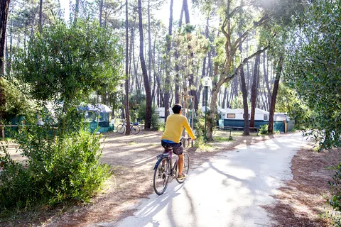 Camping Baia Verde foto 10