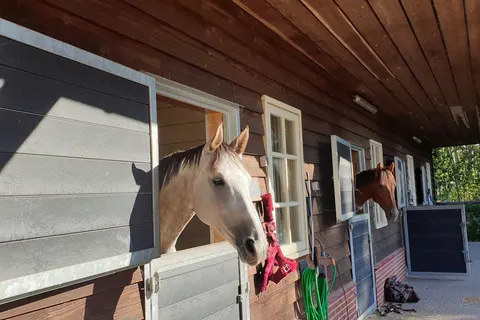 Camping De Reeënwissel foto 35