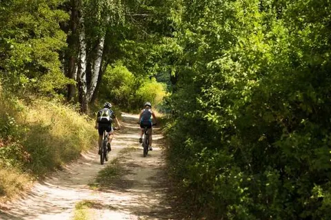 De Valkhoeve Mill foto 2