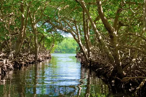 Cruise Grote Antillen, Belize & Mexico in cruisereizen, foto 16