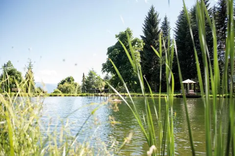 Parkhotel Holzerhof foto 3