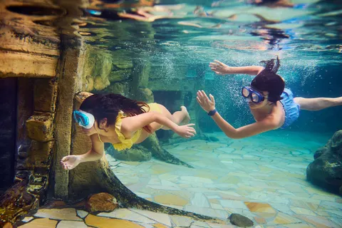 Center Parcs De Kempervennen foto 18