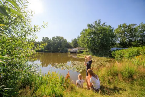 Camping Rcn De Flaasbloem foto 15