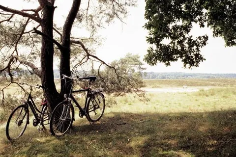 Bilderberg Hotel De Keizerskroon foto 18