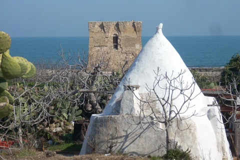 Tenuta Deserto foto 15