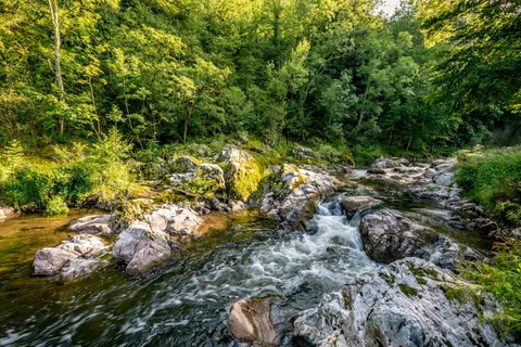 Camping L Ardechois foto 4