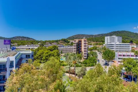 Econotel Las Palomas in Palmanova — foto 3