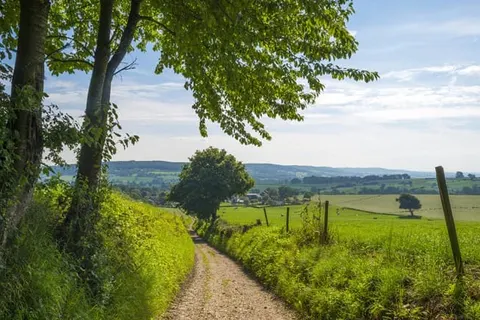 Hotel Restaurant Les Jumeaux foto 15