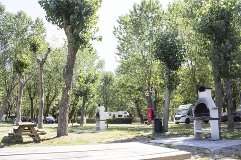 Rimini Family Resort foto 15