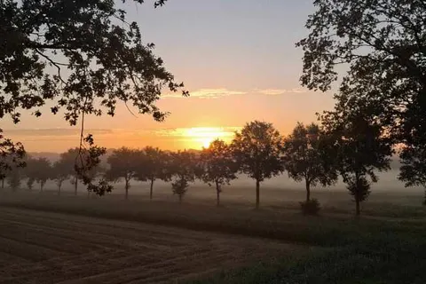 All in Boutique Hotel Het Witte Veen foto 25