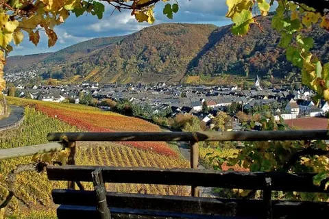 Hotel Emmerich foto 22