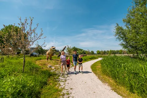 Vakantiepark Poort Van Zeeland foto 30