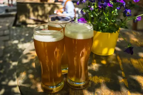 Hotel Alexanderhof in Millstatt — foto 34