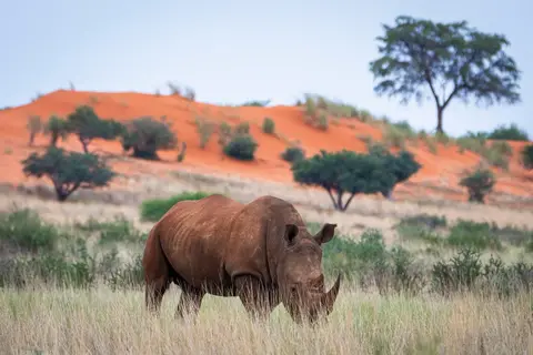 Zuid-Afrika in stijl in Complete rondreis Zuid-Afrika — foto 6