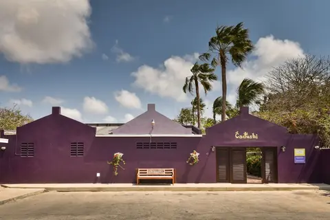 Cadushi Apartments in Punta Brabo — foto 25
