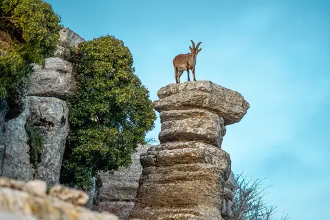Paradores en Ambiance in Andalusië in Hernani — foto 3