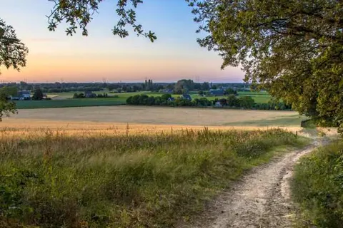 Hotel Café Restaurant De Gouden Karper foto 27