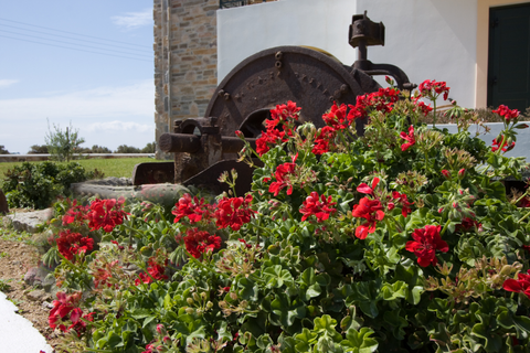 Plaza Beach Hotel foto 17