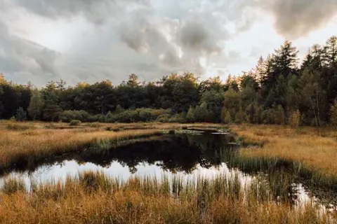 Fietsvakantie rondje Drenthe foto 15