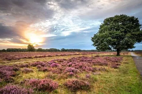 Grenzeloos Slapen-Eten-Beleven foto 33