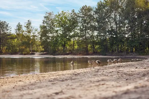 Center Parcs De Kempervennen in Westerhoven — foto 20
