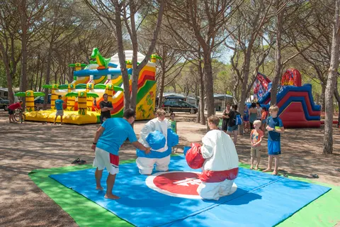 Camping Playa Brava foto 4