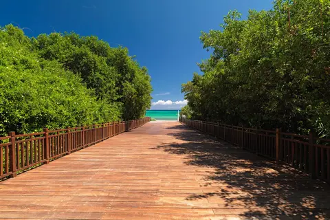Paradisus La Perla - Adults Only - Riviera Maya in Playa del Carmen — foto 8