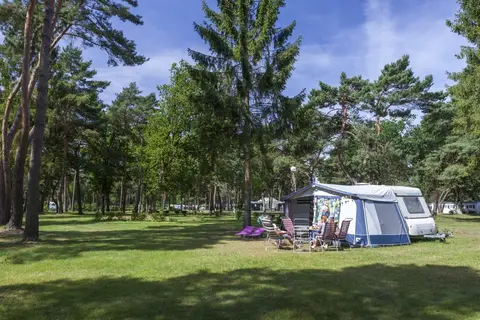 Zilverstrand in Mol — foto 6