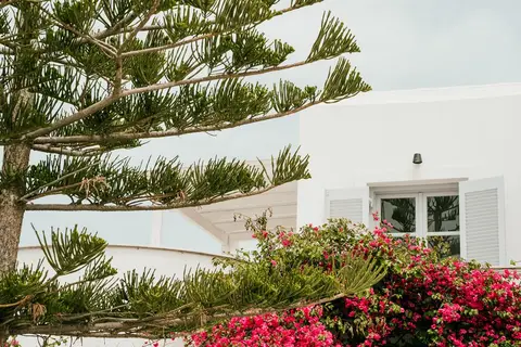 Sunrise Paros in Νάουσα — foto 8