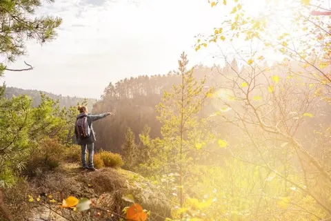 Landhotel Sauerländer Hof foto 14