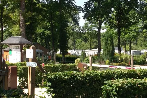 Camping La Forêt foto 22