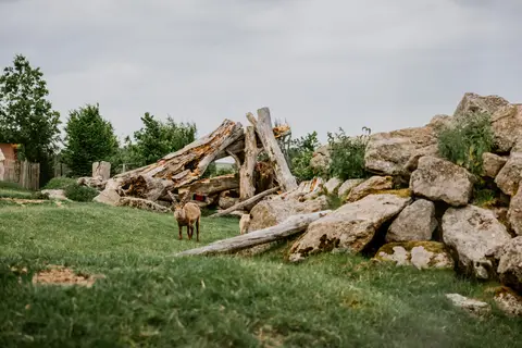 Ikuna Naturresort in Natternbach — foto 52