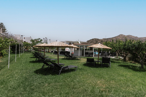 Hotel Elea Terra foto 10