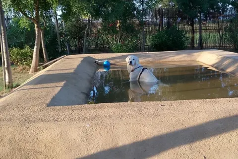 Residence Rosa Dei Venti foto 4