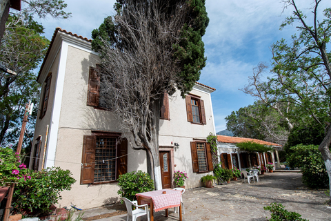 Appartementen Lela Kaptani Eftalou Olive Grove foto 26