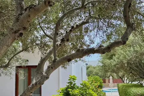 Hotel Casa Garden in Δημοτική Ενότητα Καρπάθου — foto 12