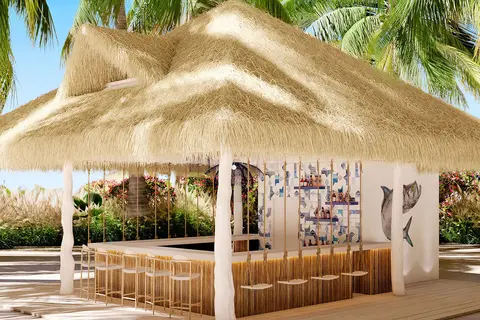 Dreams Playa Esmeralda in Miches — foto 7