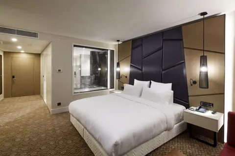 Pullman Istanbul Hotel & Convention Center in Bahçelievler, foto 13