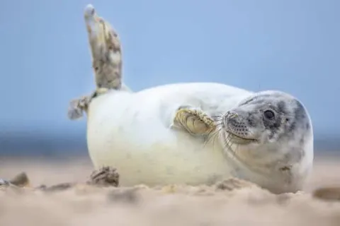 Hotel Waddengenot in Pieterburen — foto 3