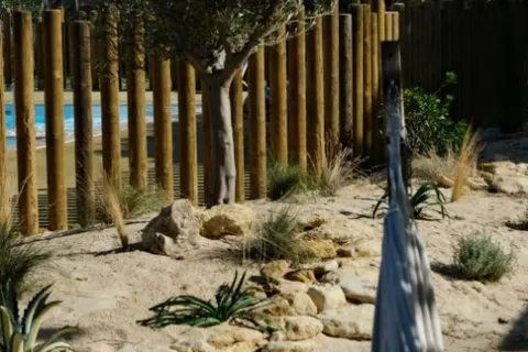 Camping Portes En Ré foto 12