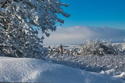 Kerst in het Zwarte Woud, Endingen in Endingen am Kaiserstuhl, foto 19