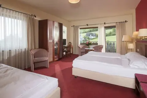 Sauerland Alpin Hotel foto 21