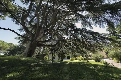 Posta Donini in Perugia, foto 23