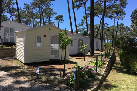 Camping Sao Pedro De Moel foto 18