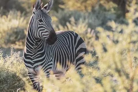 Explore Impressive Namibia foto 6