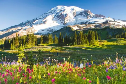 Explore the Scenic Pacific Northwest foto 4