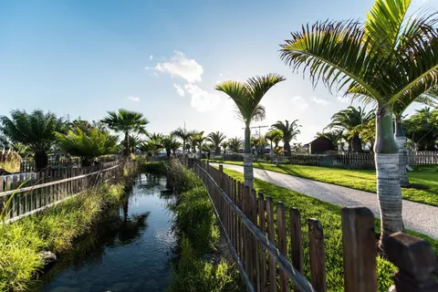 THB Tropical Island Resort - logies & ontbijt foto 48